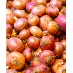 Onions, Red ±1kg